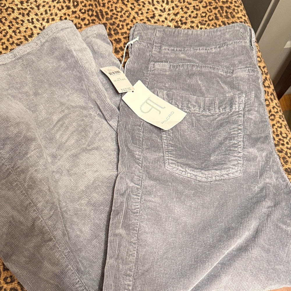Pilcro Light Gray Flare Corduroy Trousers